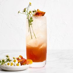 Williams Sonoma Reserve Highball Glasses - Thumbnail 3