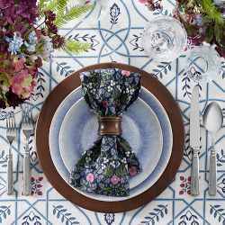 Morris &amp; Co. x Williams Sonoma Eye Bright Napkins, Set of 4