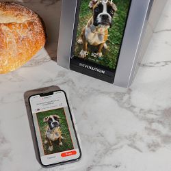 Revolution InstaGLO R180 Connect Plus Toaster