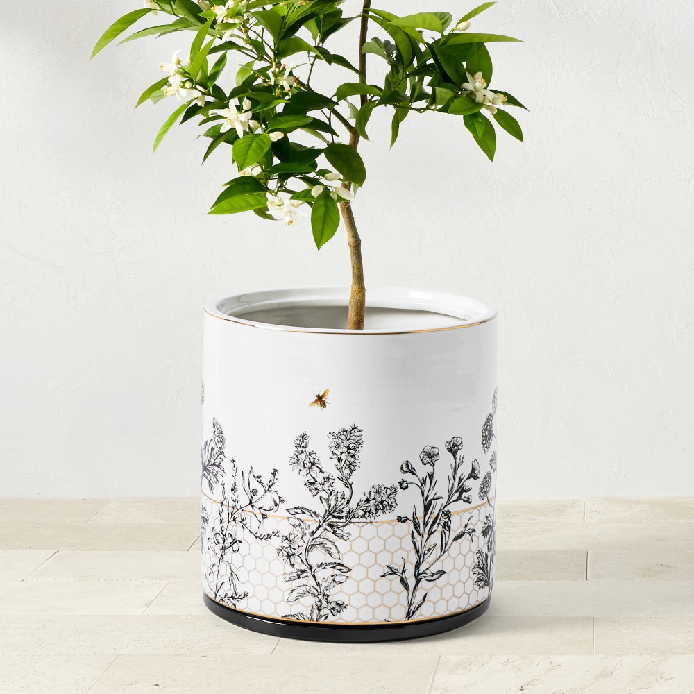 Honeycomb Ceramic Planter Collection - Large