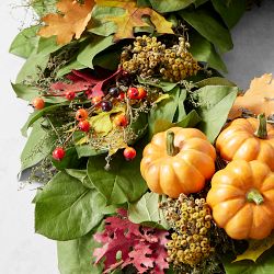 Fall Pumpkin Live Wreath &amp; Garland