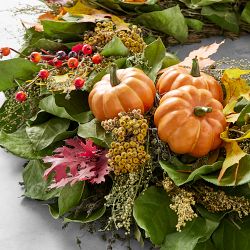 Fall Pumpkin Live Wreath &amp; Garland