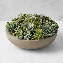 Jeff Leatham Faux Succulents in Round Bowl, 6"