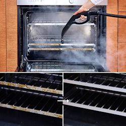 Neat&#8482; Steam Cleaner with Advanced Cleaning Pack