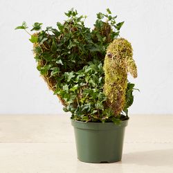 Ivy & Moss Thanksgiving Turkey Topiary, 12"