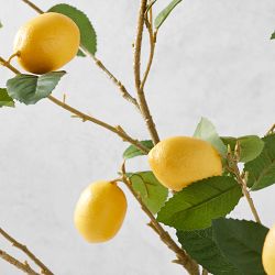 Faux Lemon Branches, Set of 3