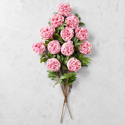 Jeff Leatham x Williams Sonoma Real Touch Faux Pink Peony Stems, Set of 12