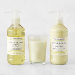 Williams Sonoma Meyer Lemon Guest Set