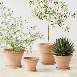 Williams Sonoma Terracotta Rope Planter