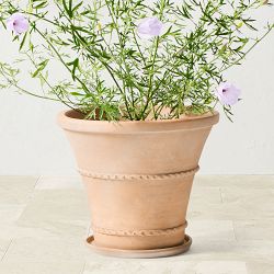 OPEN BOX:Williams Sonoma Terracotta Rope Trim Planter, Extra Large