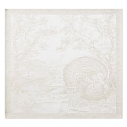 Turkey Jacquard Napkins, Set of 4