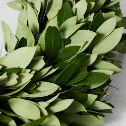 Bay Leaf Live Wreath &amp; Garland