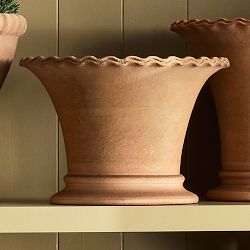 Williams Sonoma Terracotta Scallop Planter
