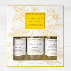 Williams Sonoma Meyer Lemon Kitchen Essentials Kit