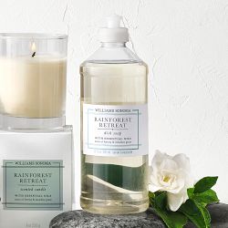 Williams Sonoma Rainforest Retreat Candle