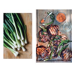 Williams Sonoma Grilling Deck