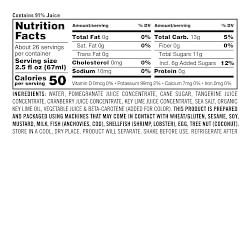 Trisha Yearwood x Williams Sonoma Christmas in a Pitcher