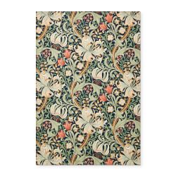 Morris &amp; Co. x Williams Sonoma Towels, Set of 2