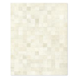 Laser Lines Hide Rug