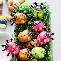 Williams Sonoma German Chocolate Ladybugs