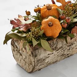 Fall in Love Live Wooden Log Live Centerpiece