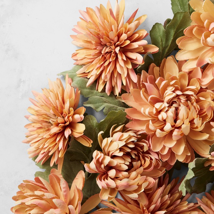 Fall Faux Orange Spider Mum & Chrysanthemum Bundle | Williams Sonoma