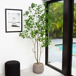 Artificial Minimalist Japanese Pieris Tree with Real Touch Leaves, 7'