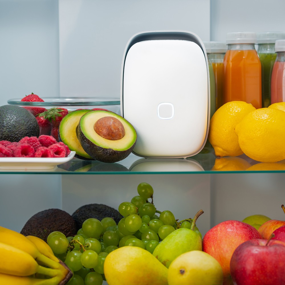 Shelfy Fridge Purifier