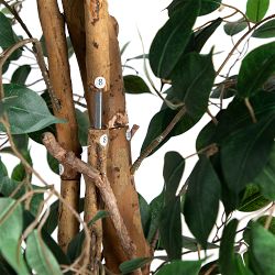 Artificial Ficus Tree, 10'