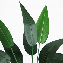 Artificial Sky Bird Tree in White Decorative Planter