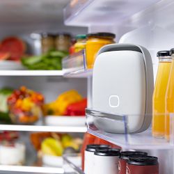 Shelfy Fridge Purifier