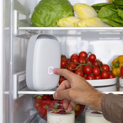 Shelfy Fridge Purifier