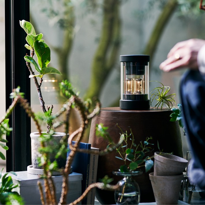 BALMUDA The Speaker: Live Concert Sound & Light | Williams Sonoma