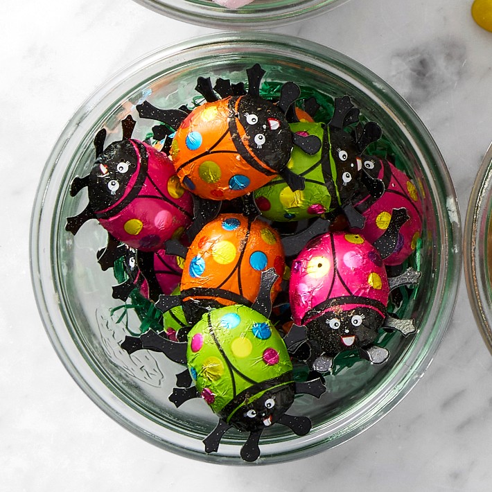 Williams Sonoma Chocolate Lady Bugs | Gourmet Chocolate | Williams