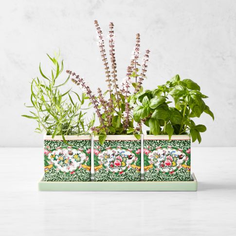 Planter Pots