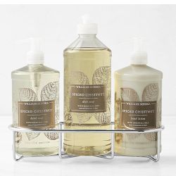 Williams Sonoma Spiced Chestnut Hand Soap, Dish Soap & Lotion 4-Piece Set