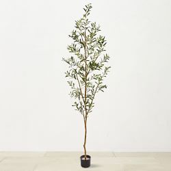 Faux Indoor Olive Tree, 82"