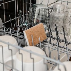 Full Circle In a Nut Shell Walnut Scrubber Sponge