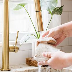 Full Circle In a Nut Shell Walnut Scrubber Sponge