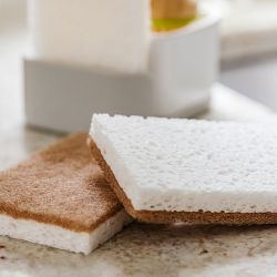 Full Circle In a Nut Shell Walnut Scrubber Sponge