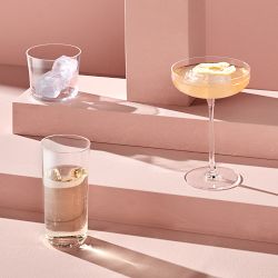 Nude Savage Coupe Glasses, Set of 2