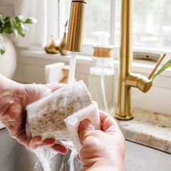 Full Circle Cleana Colada Coconut Scrubber Sponge