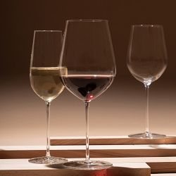 Schott Zwiesel Vuelo Champagne Flutes