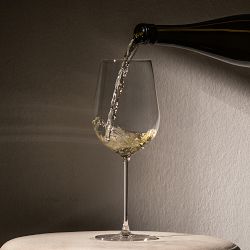 Schott Zwiesel Vuelo White Wine Glasses