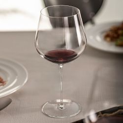 Schott Zwiesel Vuelo Burgundy Glasses