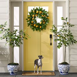 Faux Lemon Tree, 3'-5'