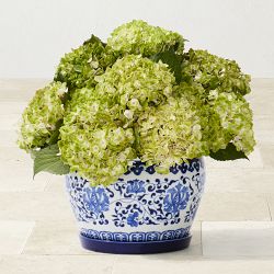 OPEN BOX:Blue and White Ceramic Planter Small with Tray