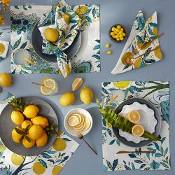 Matouk Schumacher Citrus Garden Placemats, Set of 4