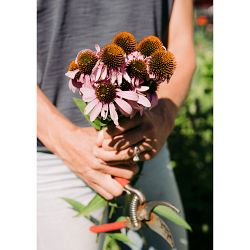 Nicole Johnsey Burke: A Step-by-Step Guide to Planting an Organic Kitchen Garden