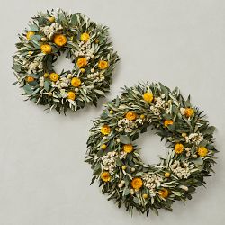 Olive Billy Button Live Wreath &amp; Garland